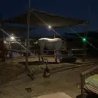 بوايك خيل للبيع