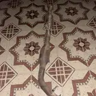 شخلات هايلكس بلد 2012