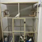 3 اجواز ياكريم مع الشبك