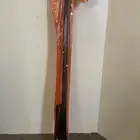 اريل انتل استرالي