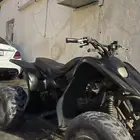 ماشاءالله تبارك الله دباب سويدي للبيع