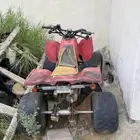 دباب للبيع