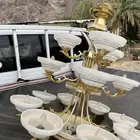 للبيع لبه ثرياء على الشرط