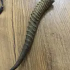 تراث