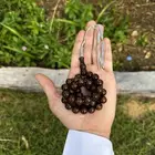 سبح فاتوران صب جديد