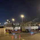 دينه دينا محايل