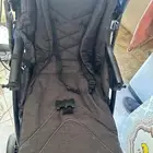 القصيم