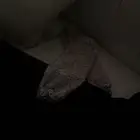 فستان فخم للبيع جديد راسلني خاص للمزيد المعلومات