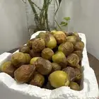 للبيع رطب كعيمره