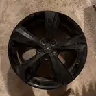 جنوط موستنج