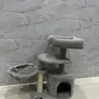لوازم قطط سرير