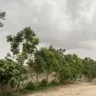 الي يدور الجوء الزين والمحل الزين الفرعا