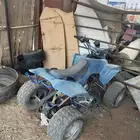 دباب بشقراء