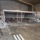 بيوت شعر