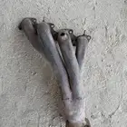 هدرز ددسن