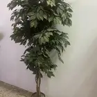 زينة شجرة منزل للبيع