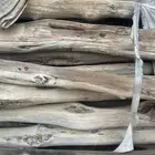 يوجد لدينا خشب من أشجار العرعر قديمه بحاله ممتازه