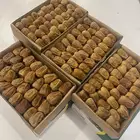 سكري مفتل طيب