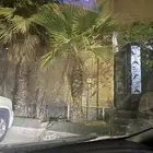 نخله