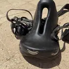 للخيول