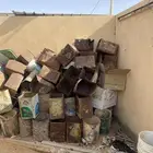 السلام عليكم