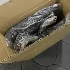 كرسي مكتب وللقيمنق   طاولة مكتب وللقيمنق