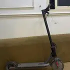 اكسوتر