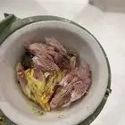 كناري مع فروخه