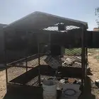 شبك حمام وحمام للبيع