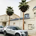نخل واشنطن فاخر