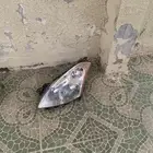 شمعه التيما 2010