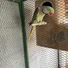 الشرقيه الجبيل