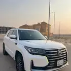 شانجانcs95