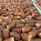 صقعي فاخر جدا