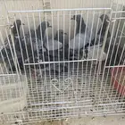للبيع حمام سوادي