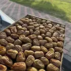 تمر مفتل   انتاج هالايام جوده طيبيه   بسعر مناسب جدا