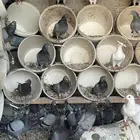 حمام
