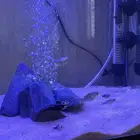 فراخ سمك مولي عادي