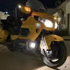 قولد وينق 2009