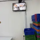 محل دواجن للتقبيل
