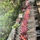 معلم مشويات خارجي