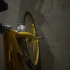 المدينة المنورة