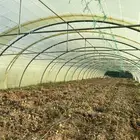 بيوت محميه نوع اردني