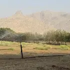 أدوات الزراعه 100 رشاش ودينمو 10 حصان وسلك 10 مليي نحاس