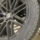 جنوط برابوس