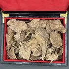 عود سيلاني غابات آدامز