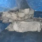 دبات رصاص