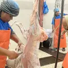 بادر بحجز اضيحتك باسعار منافسه