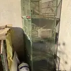 شبك شبوك دجاج