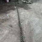 جنزبر سحب